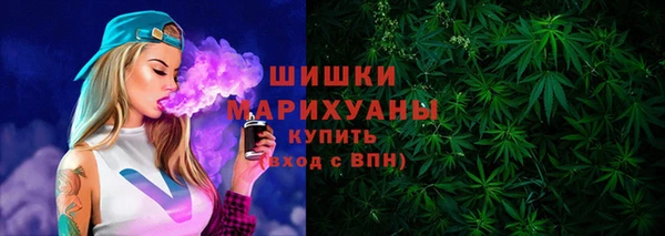 ECSTASY Горняк